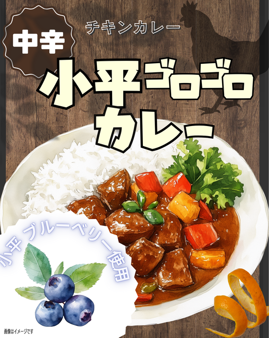 小平ゴロゴロカレー小平第一小学校５年１組プロデュース